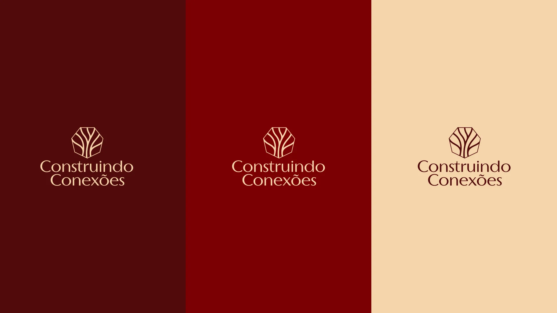 Construindo Conexões — imagem 5