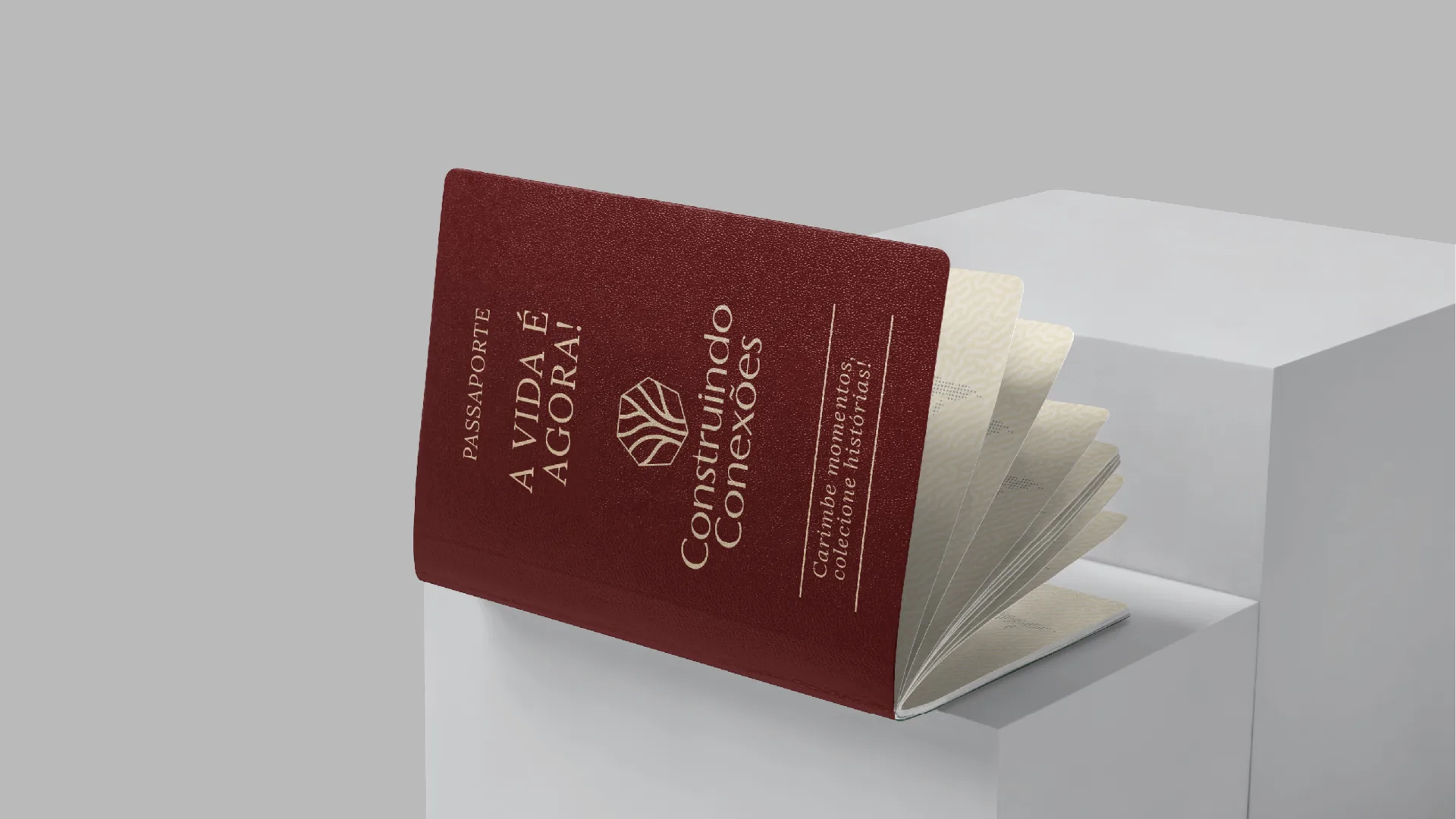 Construindo Conexões — imagem 26